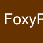 Hướng dẫn sử dụng extension FoxyProxy Standard trên trình duyệt Firefox