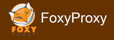 Hướng dẫn sử dụng extension FoxyProxy Standard trên trình duyệt Firefox